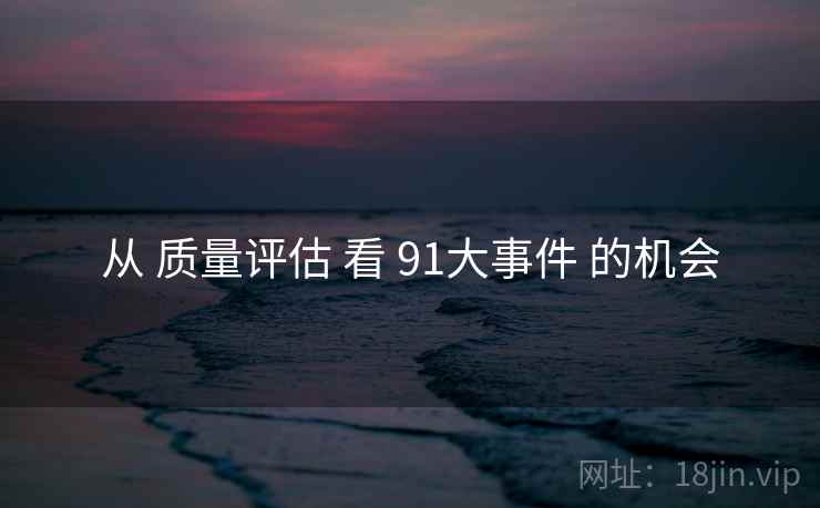 从 质量评估 看 91大事件 的机会