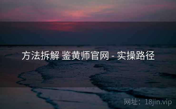方法拆解 鉴黄师官网 - 实操路径