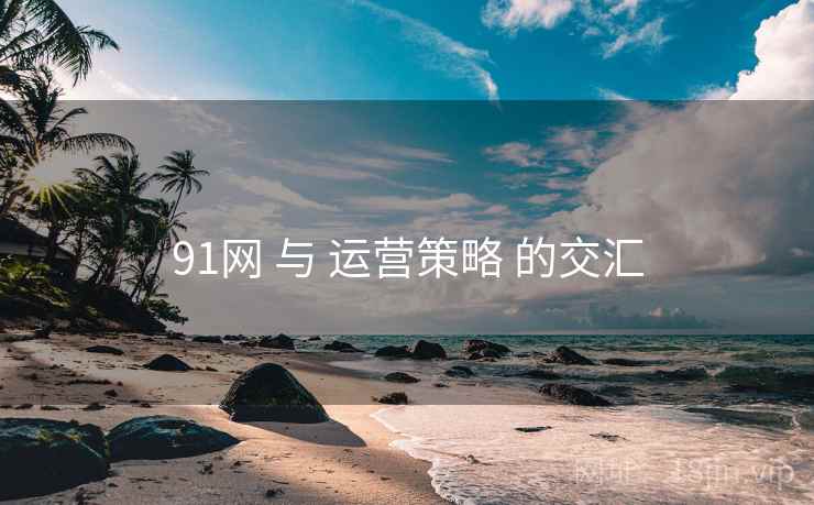 91网 与 运营策略 的交汇 91网 与 运营策略 的交汇