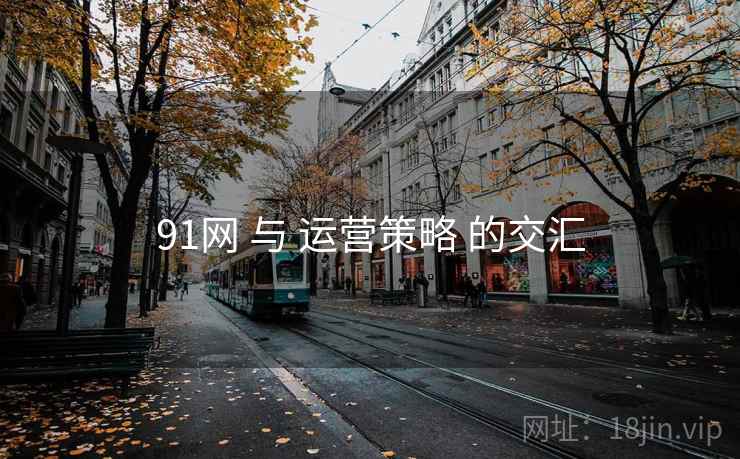 91网 与 运营策略 的交汇